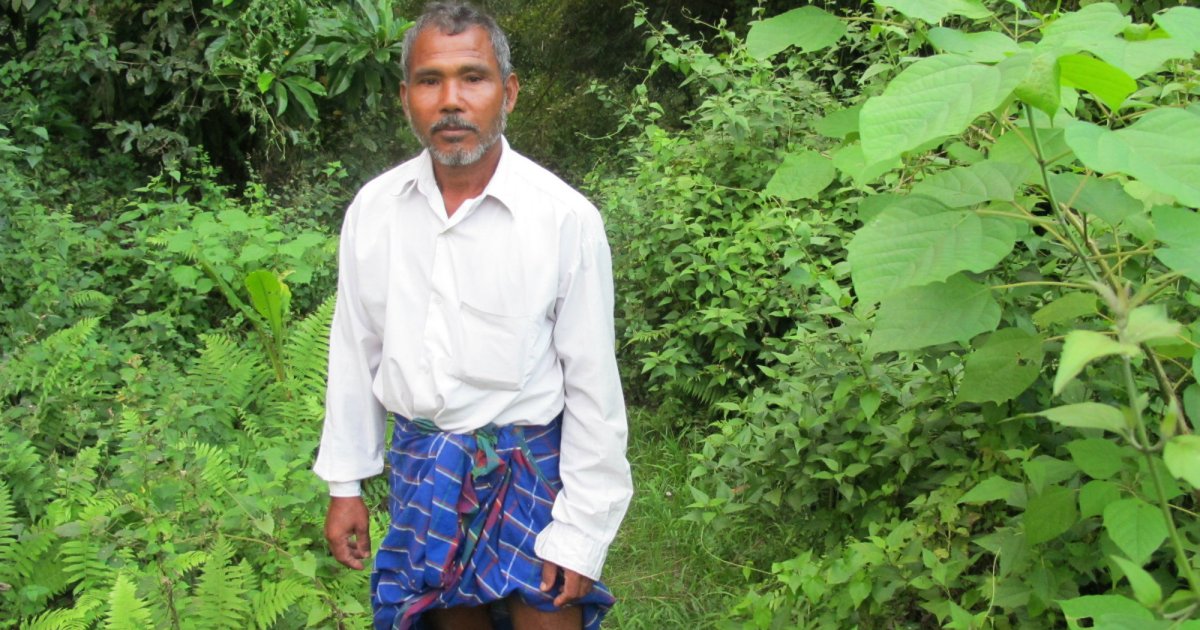 Read more about the article Man of the Soil: the “Forest Man of India” Jadav Payeng
