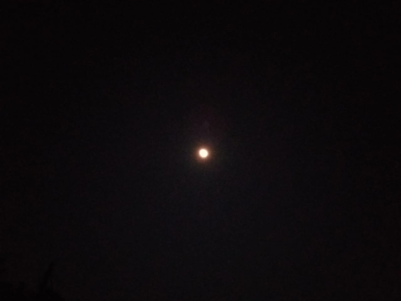 Read more about the article The Glistening Moon